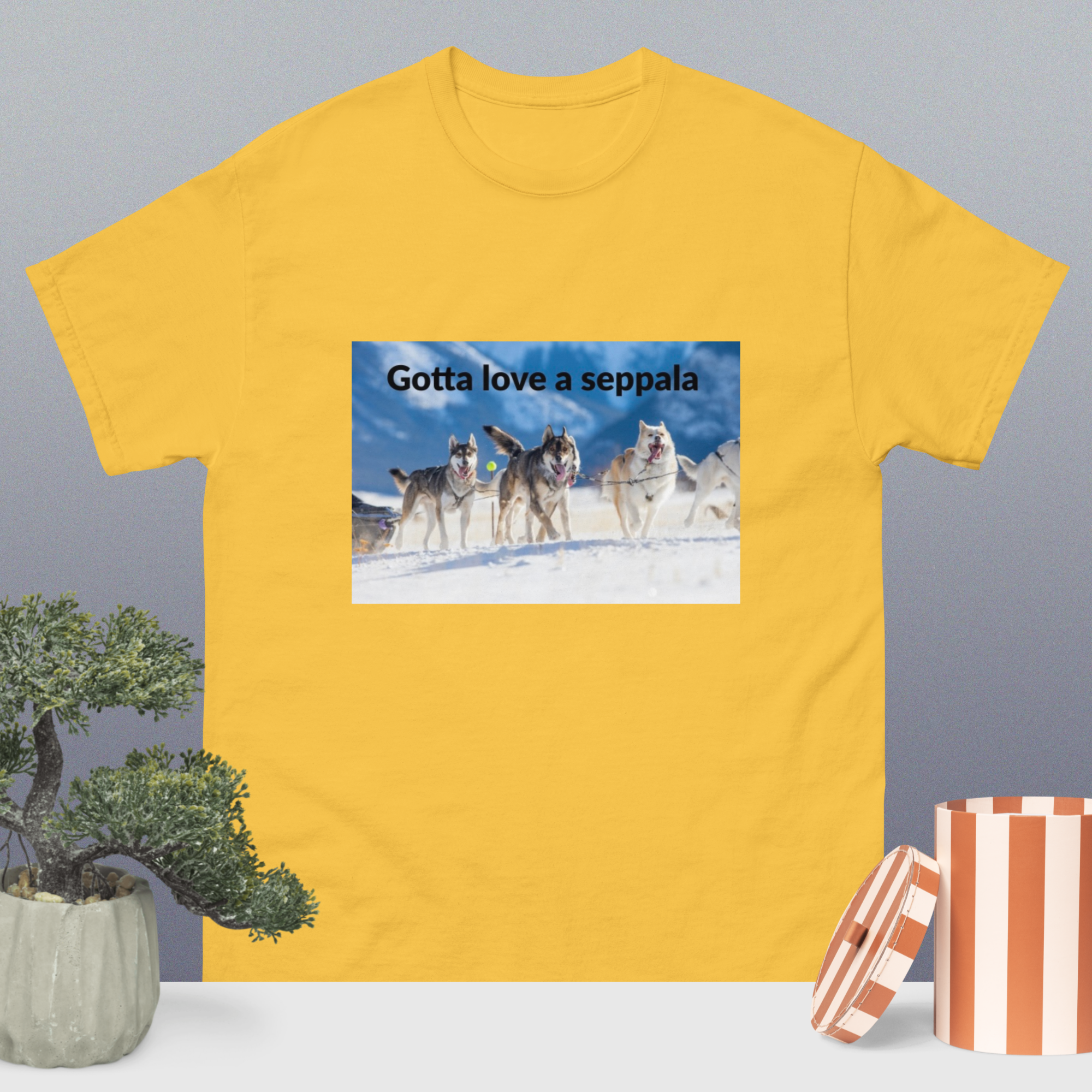 Product mockup