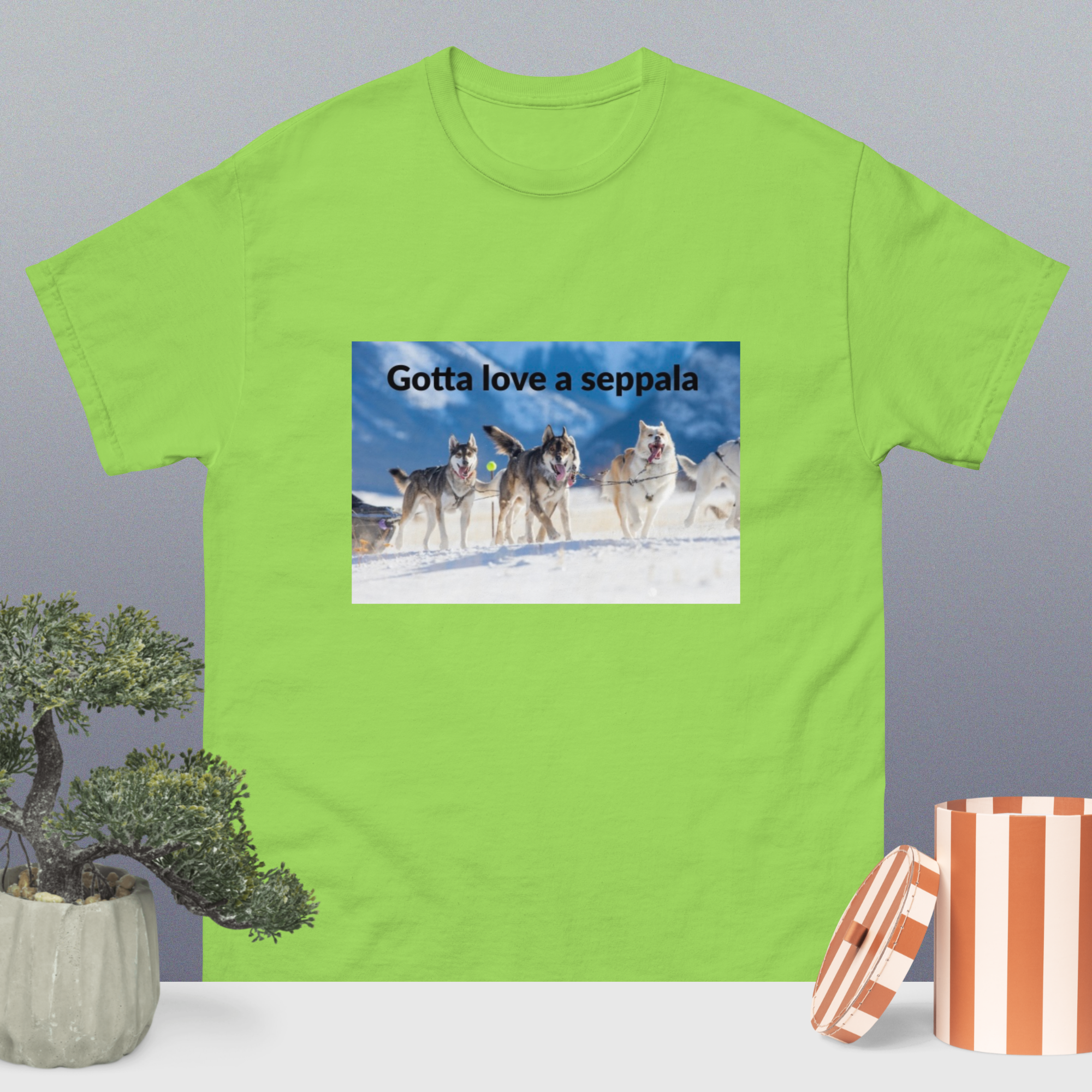 Product mockup